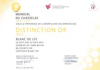 Mondial du chasselat mini