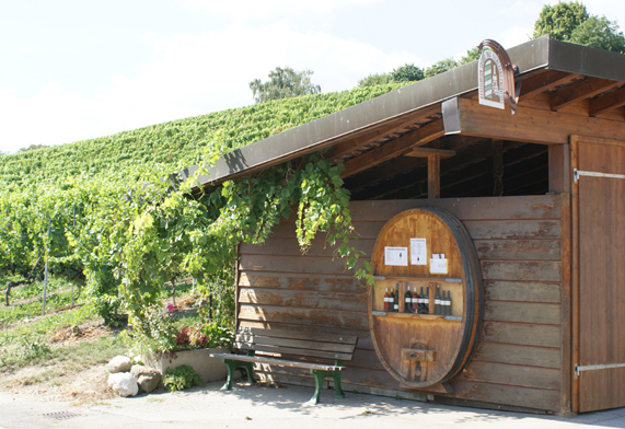 domaine 111