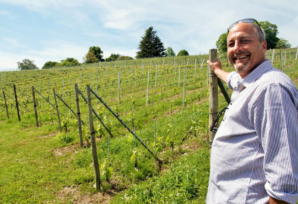 David dans les vignes